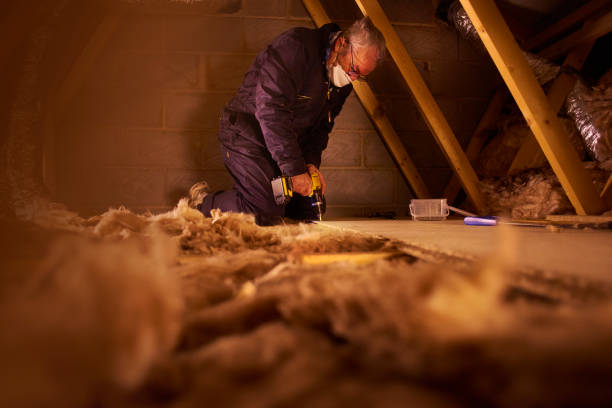 Best Insulation Maintenance and Repair in Potomac, MD