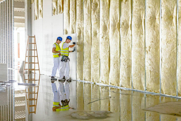 Best DIY Insulation Kits and Guidance in Potomac, MD